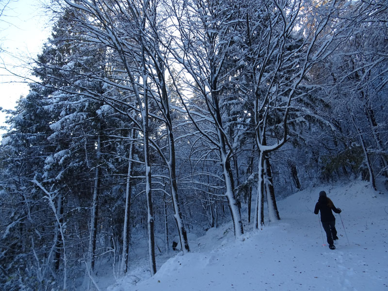 prime escursioni sulla neve....autunno  2019